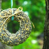 Joanie's bird seed feeders